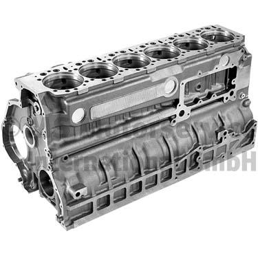 Carter motor 20030228661 BF