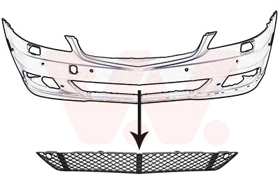 Grila ventilatie, bara protectie 3047590 VAN WEZEL