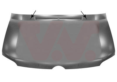 Capota motor 3076660 VAN WEZEL