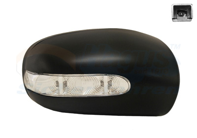 Acoperire oglinda exterioara 3032844 VAN WEZEL