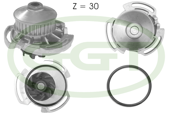 Pompă de apă, răcire motor PA10592 GGT