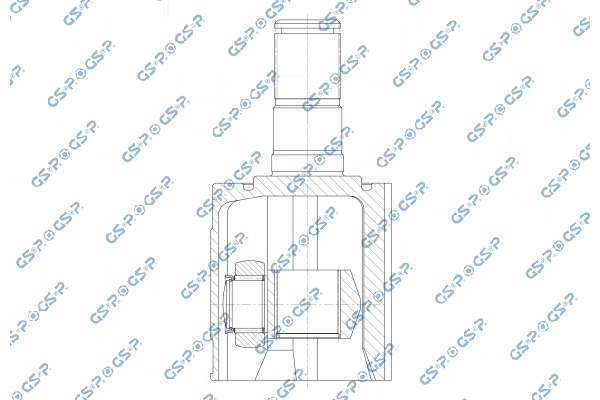 Set articulatie, planetara 603251 GSP