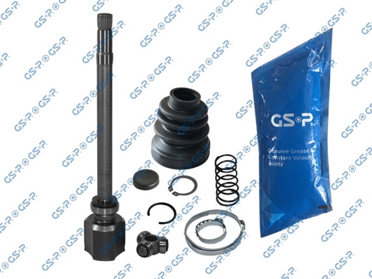 Set articulatie, planetara 610058 GSP