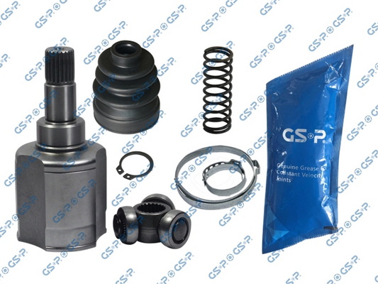 Set articulatie, planetara 617029 GSP