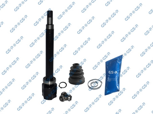Set articulatie, planetara 618129 GSP