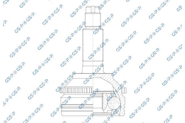 Set articulatie, planetara 803259 GSP