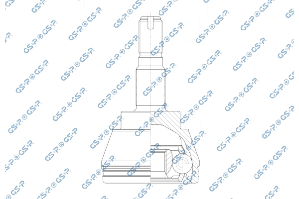 Set articulatie, planetara 803355 GSP