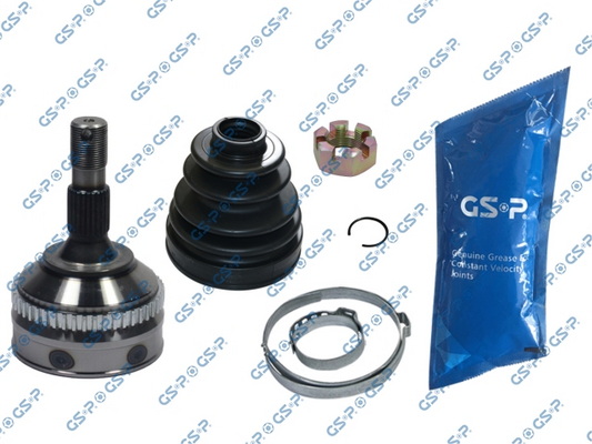 Set articulatie, planetara 810019 GSP