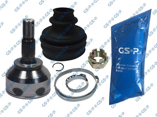 Set articulatie, planetara 810096 GSP