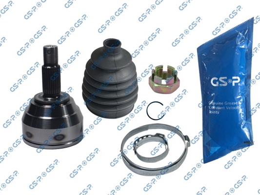 Set articulatie, planetara 818098 GSP