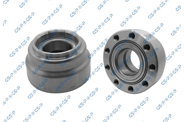 Set rulment roata 9255001 GSP