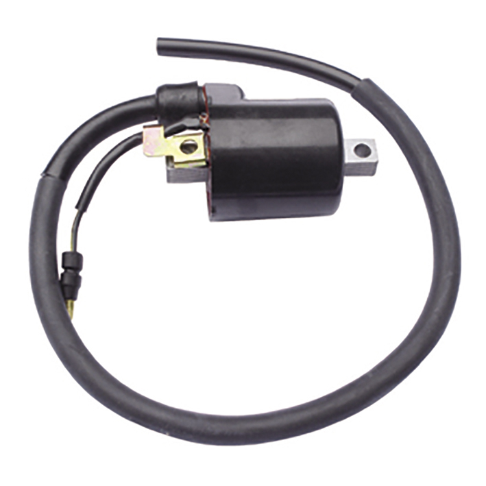 Bobina de inductie GM12010 GAUSS