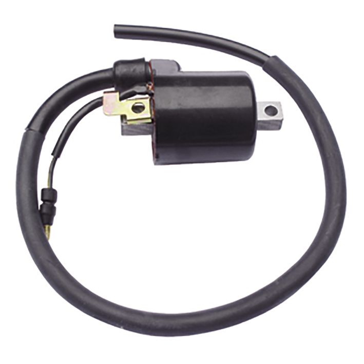 Bobina de inductie GM12019 GAUSS