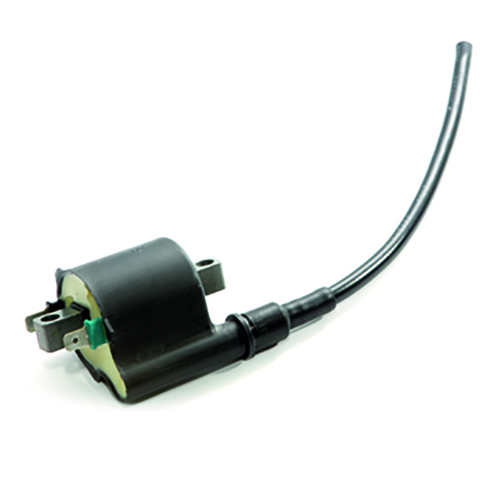 Bobina de inductie GM12020 GAUSS