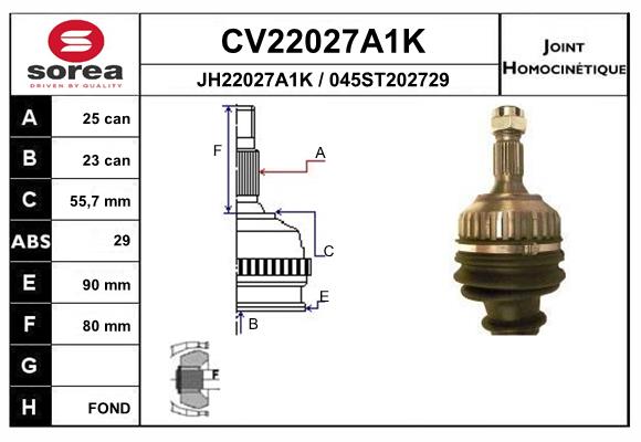 Set articulatie, planetara CV22027A1K EAI