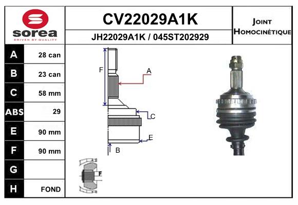 Set articulatie, planetara CV22029A1K EAI