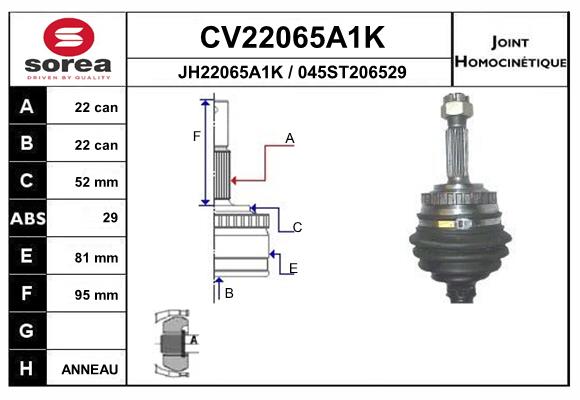 Set articulatie, planetara CV22065A1K EAI