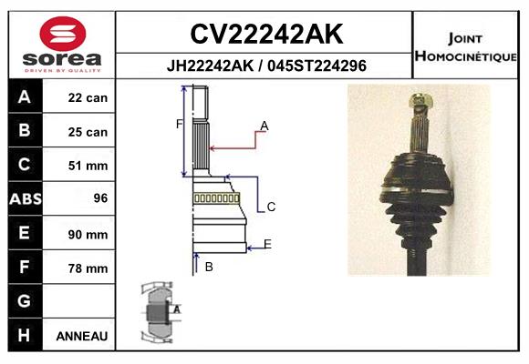 Set articulatie, planetara CV22242AK EAI
