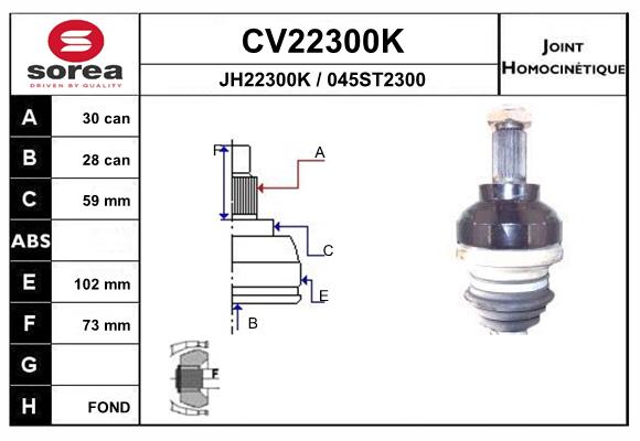 Set articulatie, planetara CV22300K EAI
