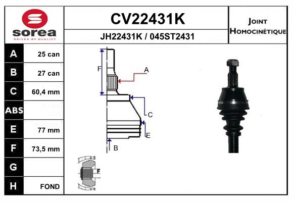 Set articulatie, planetara CV22431K EAI