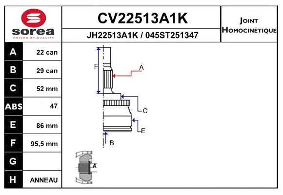 Set articulatie, planetara CV22513A1K EAI