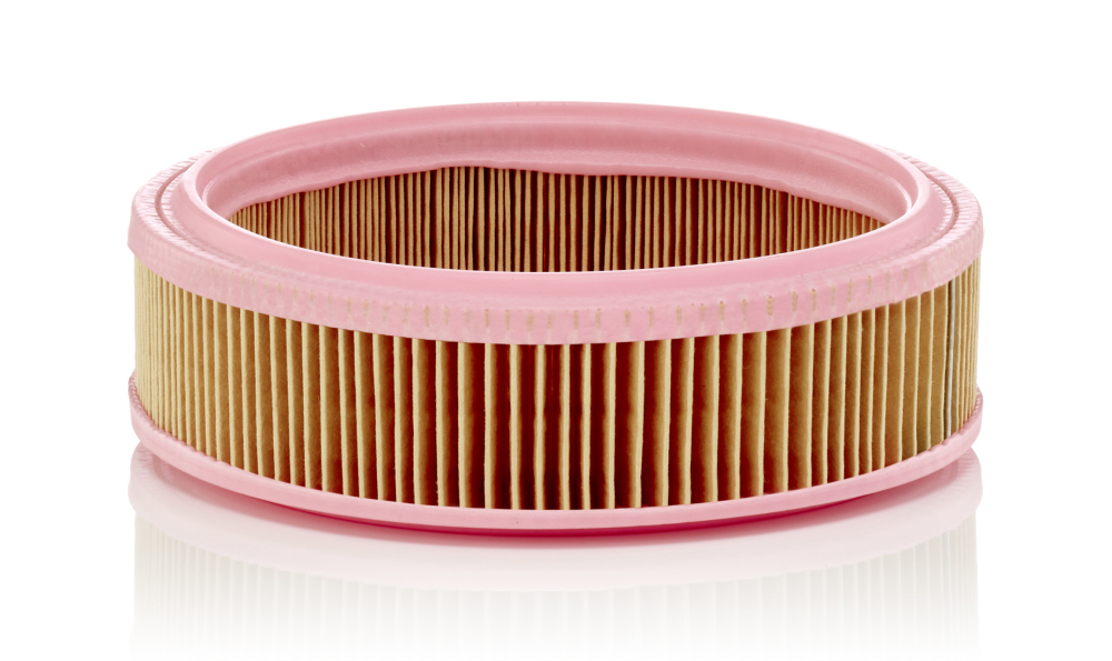 Filtru aer C 2021 MANN-FILTER