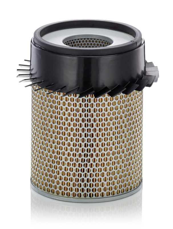Filtru aer C 21 317 MANN-FILTER