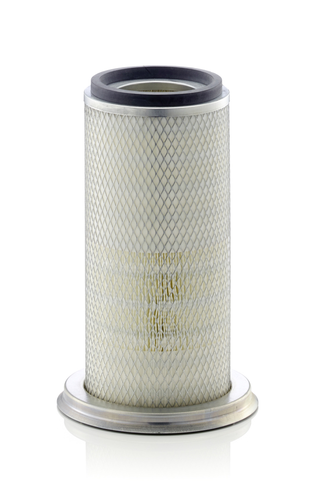 Filtru aer C 22 025 MANN-FILTER