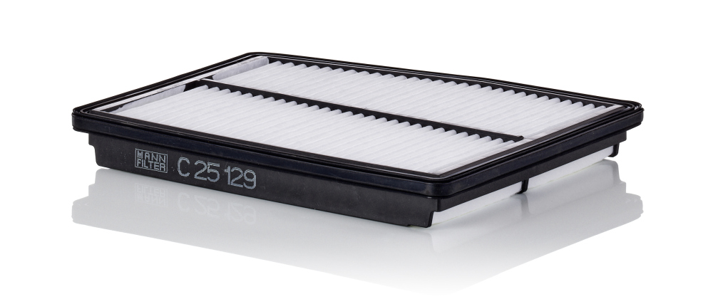 Filtru aer C 25 129 MANN-FILTER