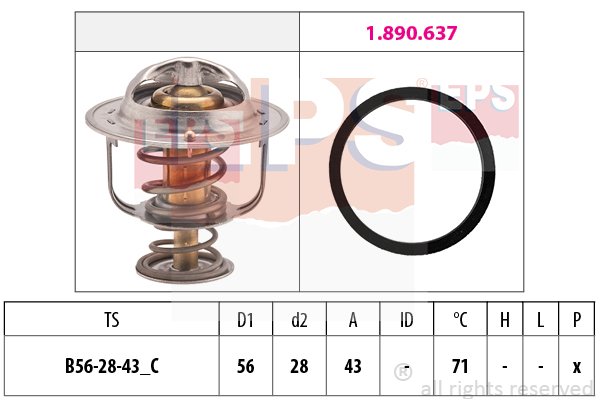 Termostat,lichid racire 1.880.650 EPS