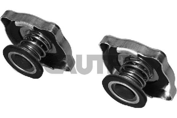 Buson,radiator 954076 CAUTEX