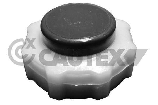 Buson,vas expansiune 950479 CAUTEX