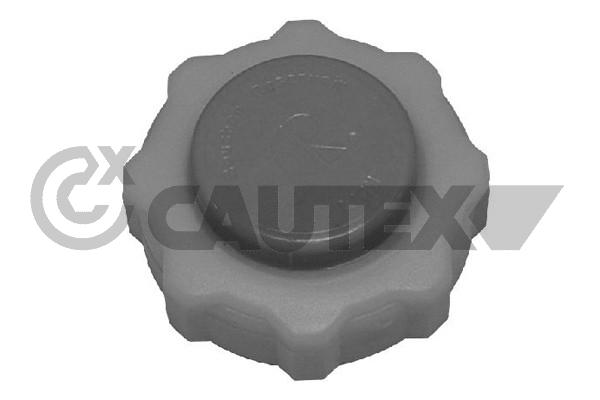 Buson,vas expansiune 954143 CAUTEX