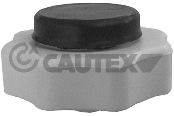 Buson,vas expansiune 950480 CAUTEX
