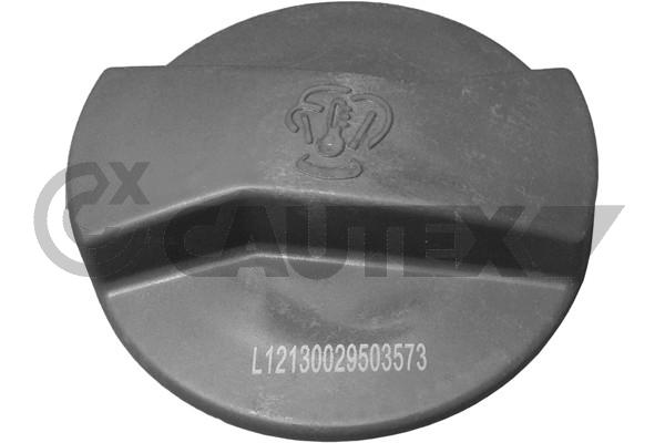 Buson,vas expansiune 954145 CAUTEX