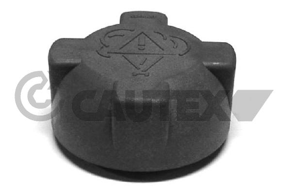Buson,vas expansiune 954071 CAUTEX