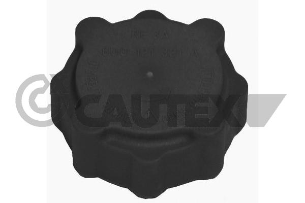 Buson,vas expansiune 954110 CAUTEX