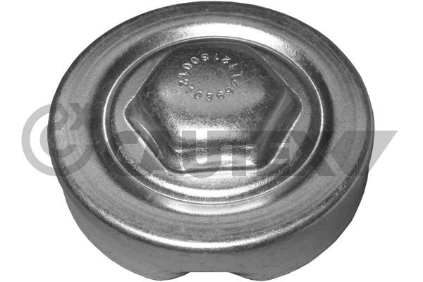 Buson,radiator 954100 CAUTEX