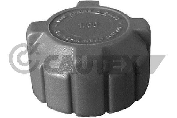 Buson,vas expansiune 954070 CAUTEX