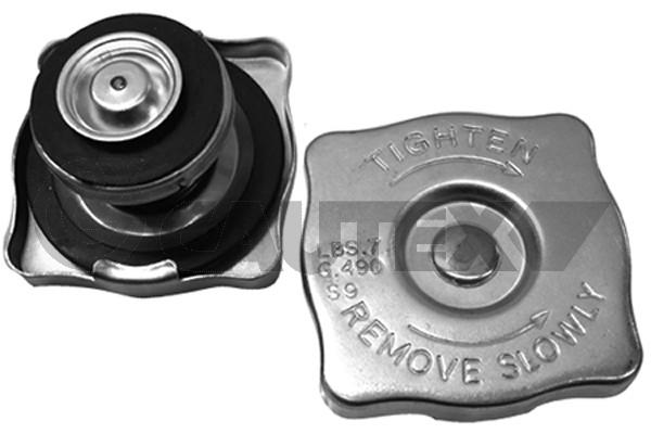 Buson,radiator 954097 CAUTEX