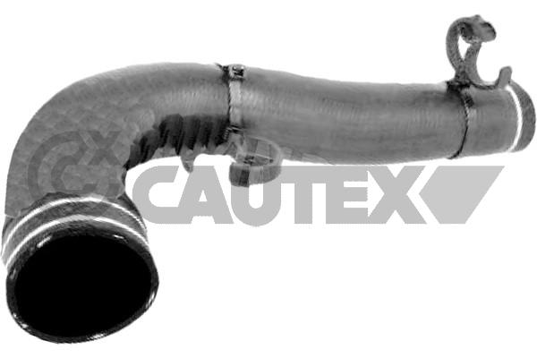 Furtun radiator 767072 CAUTEX