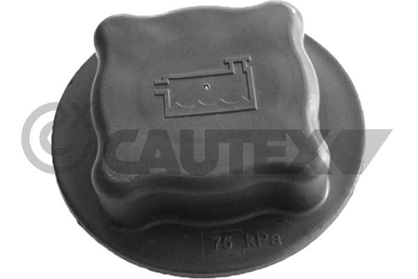 Buson,vas expansiune 751321 CAUTEX