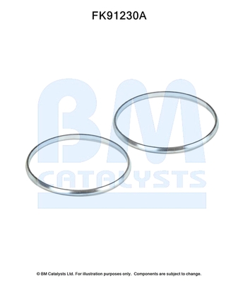 Set montare, catalizator FK91230 BM CATALYSTS