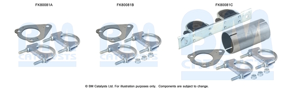 Set montare, catalizator FK80081 BM CATALYSTS