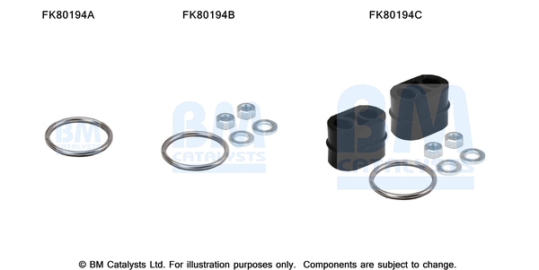Set montare, catalizator FK80194 BM CATALYSTS