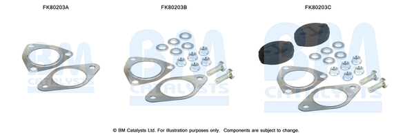 Set montare, catalizator FK80203 BM CATALYSTS