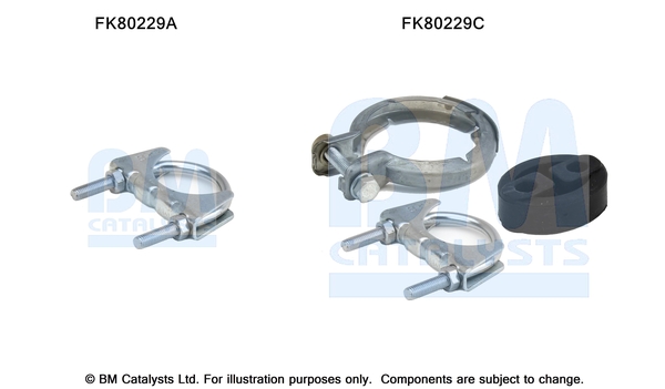 Set montare, catalizator FK80229 BM CATALYSTS