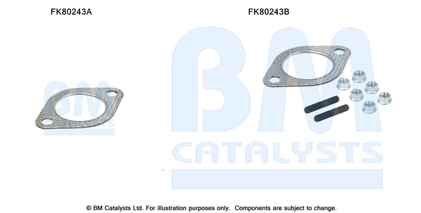 Set montare, catalizator FK80243 BM CATALYSTS