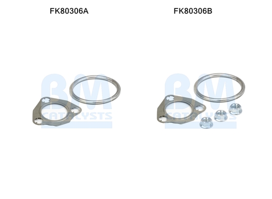 Set montare, catalizator FK80306 BM CATALYSTS