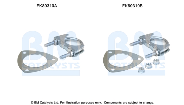Set montare, catalizator FK80310 BM CATALYSTS